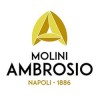 Molini
