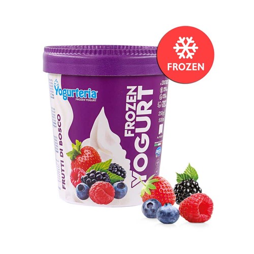 Yogurteria - Frozen 250gr Γιαούρτι Wild Berry, 672τμχ (παλέτα)
