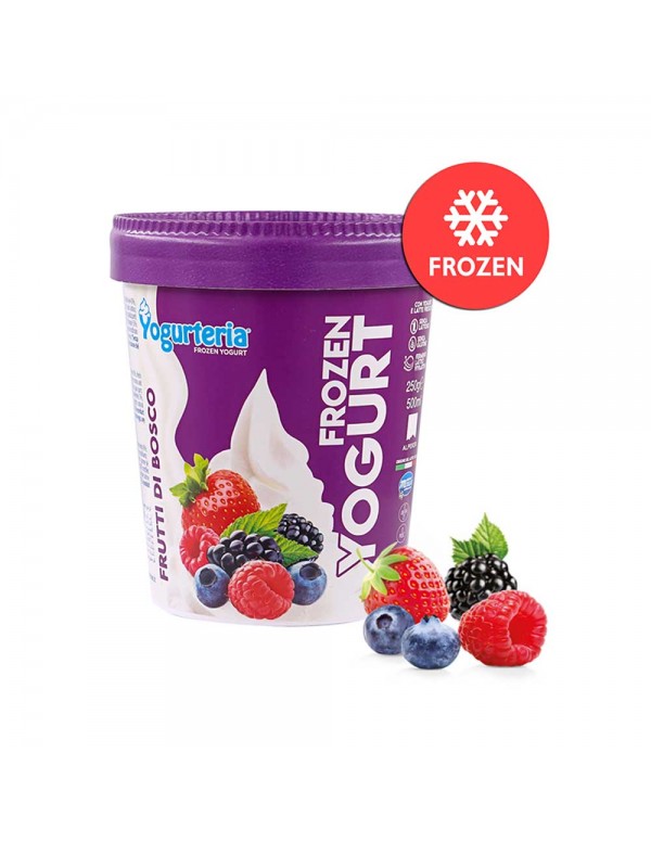 Yogurteria - Frozen 250gr Γιαούρτι Wild Berry, 672τμχ (παλέτα)